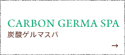 ゲルマスパ